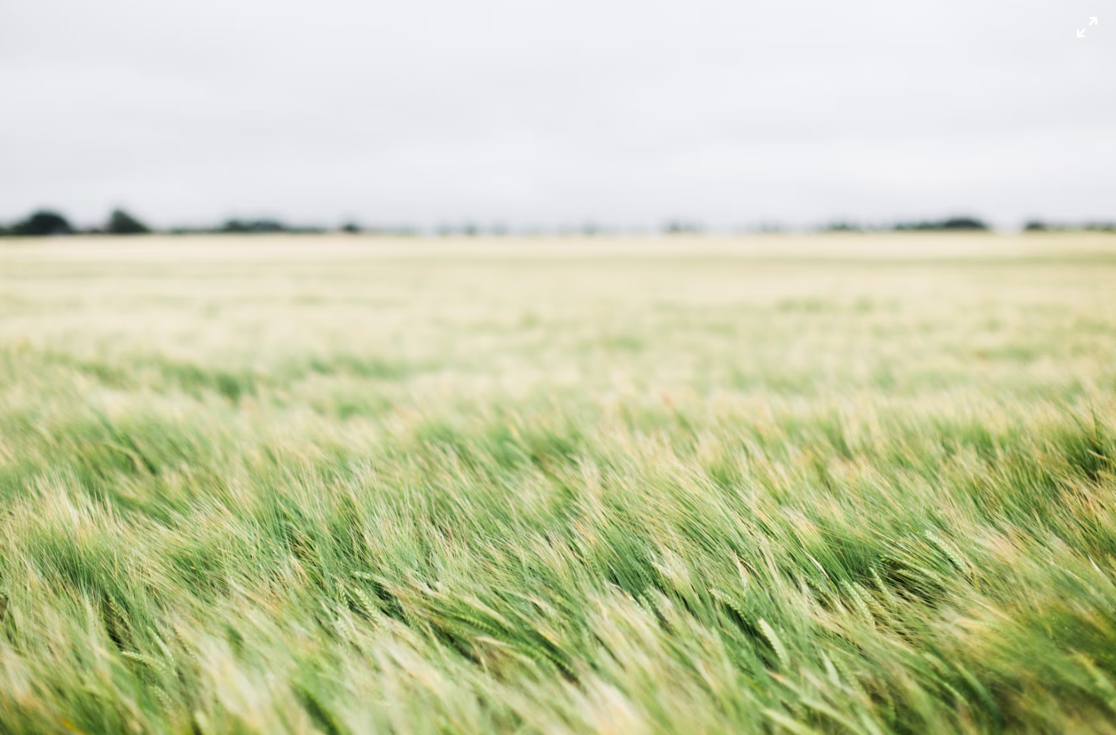 The Ongoing Fiction Of Cheap Wind & Solar Energy