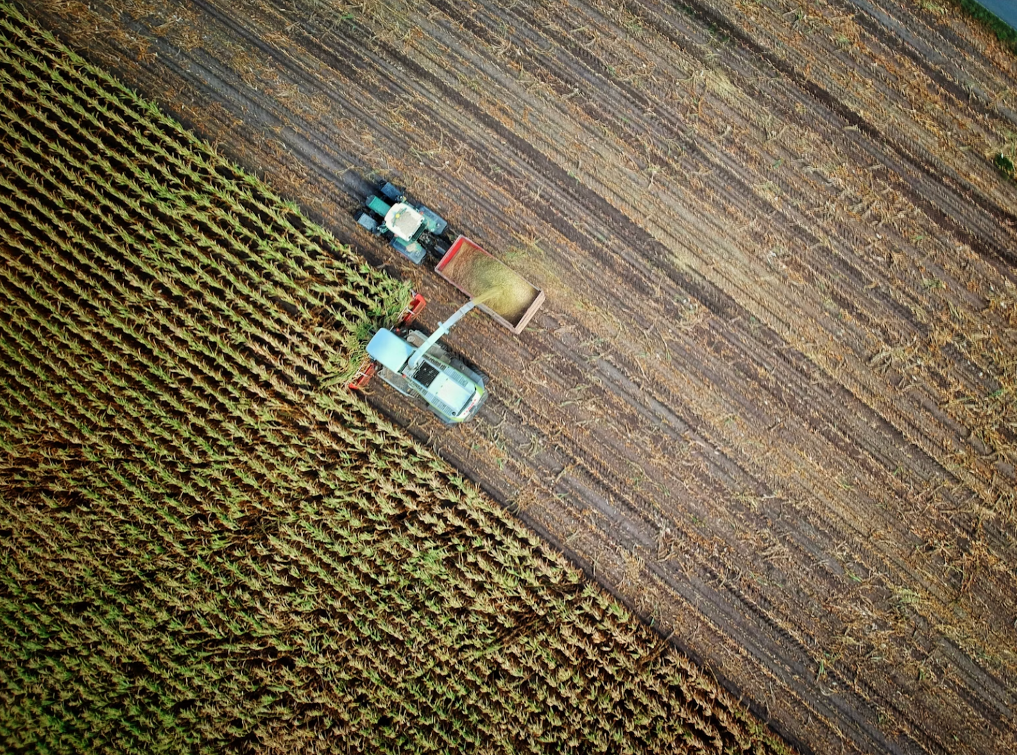 Agriculture and Climate Change