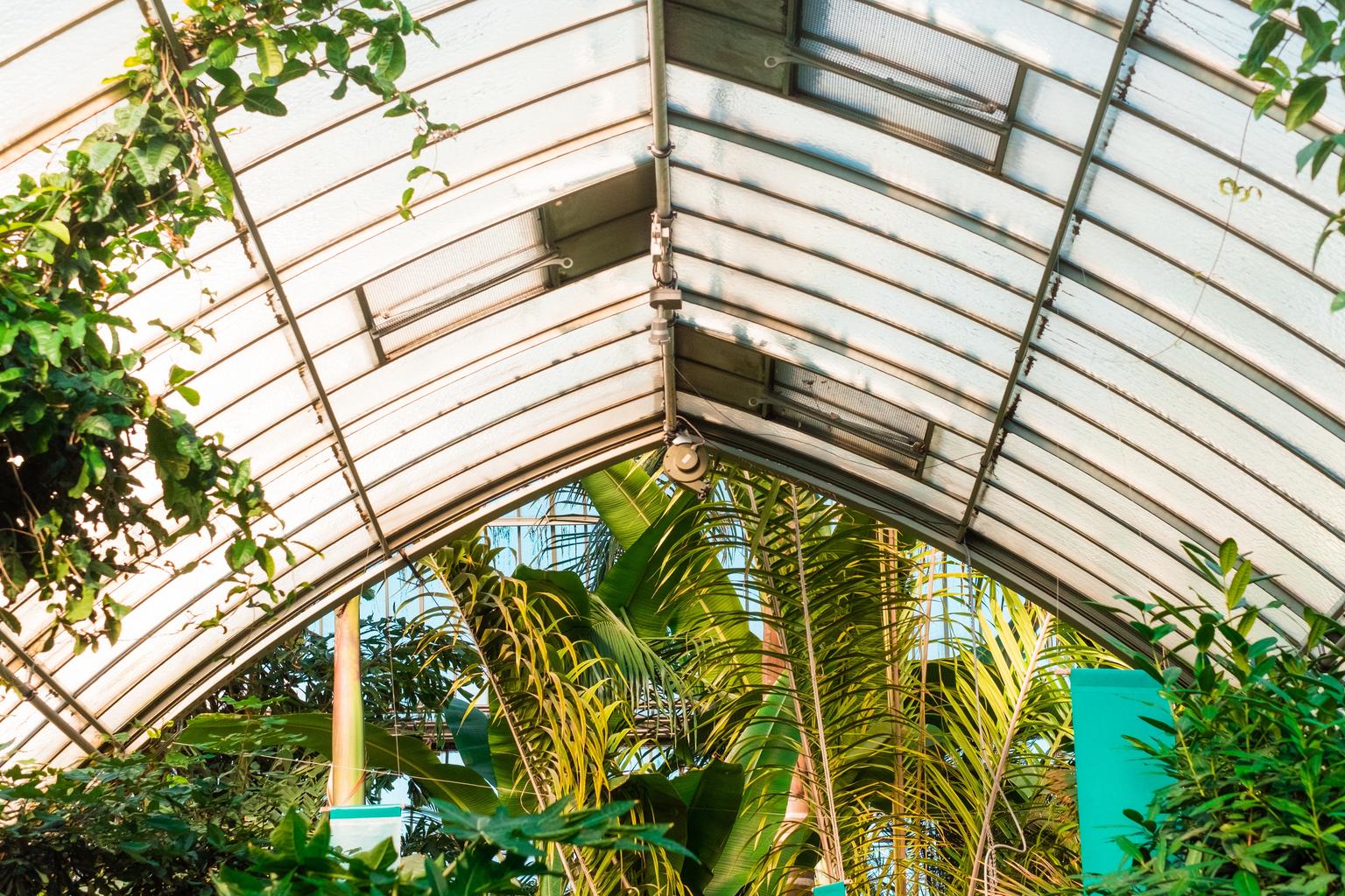 Greenhouses Pay the Costs of Demonizing ‘Greenhouse Gas’ 