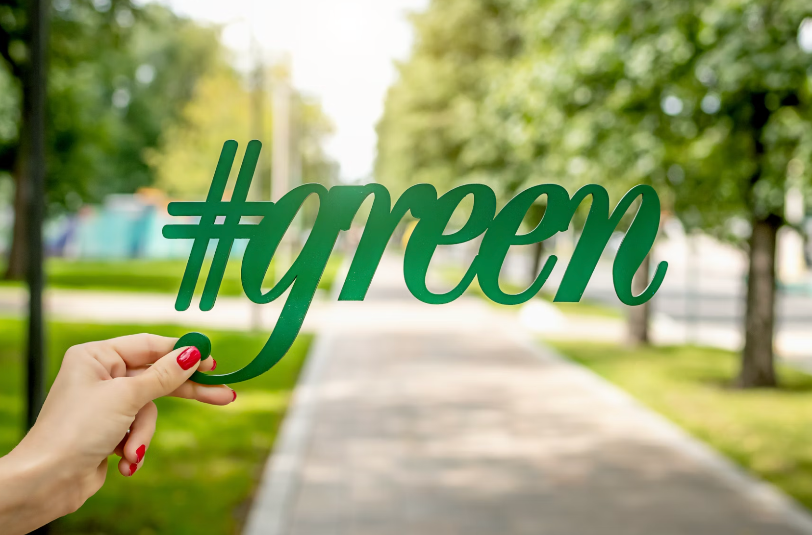 ‘Green’ Antoinettes Preaching Austerity From Private Jets