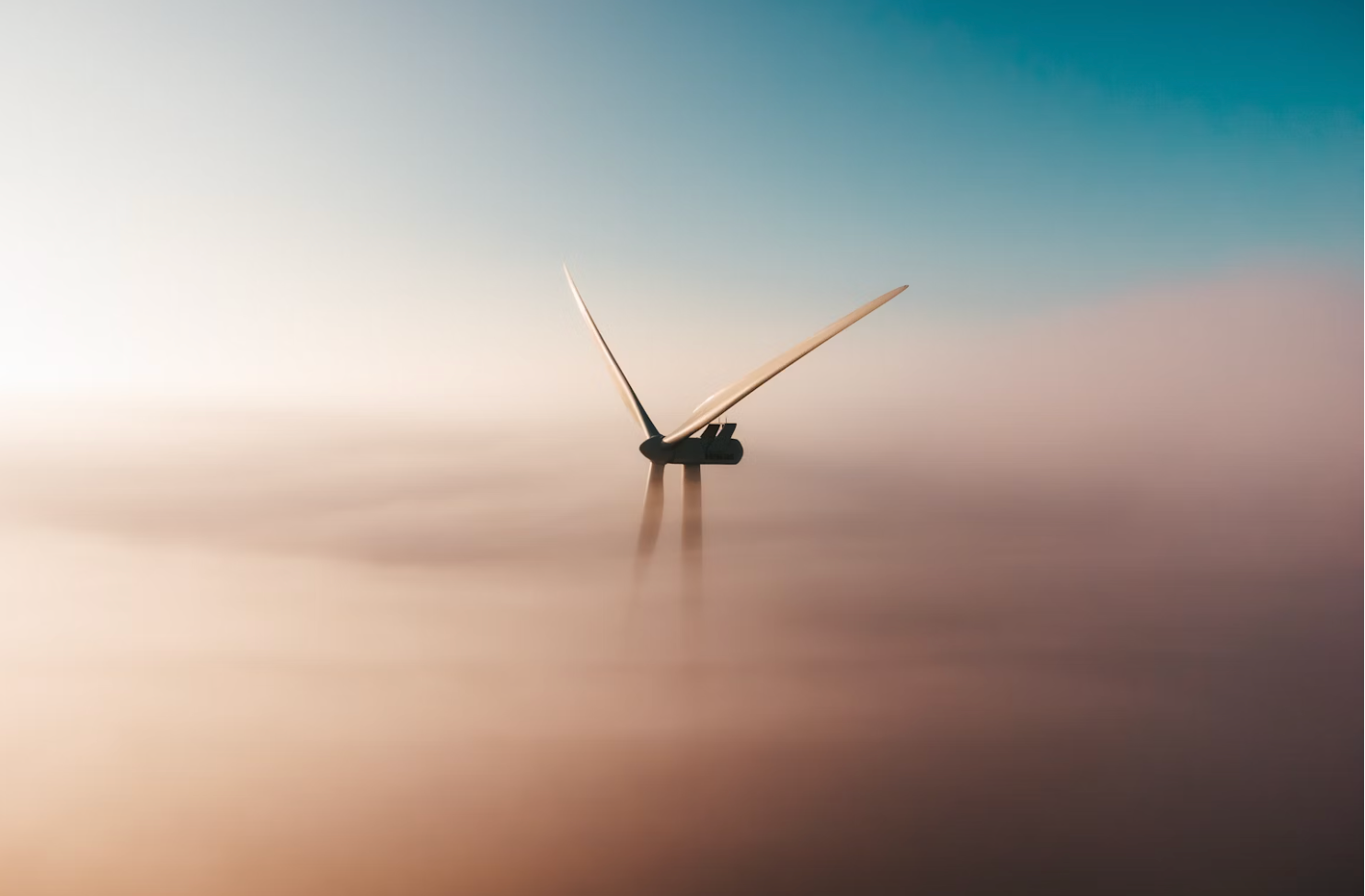 The Well Hidden and Distorted Costs of Renewables: A Comprehensive Comparison of Wind Power and Combined Cycle Gas Turbine Plant 