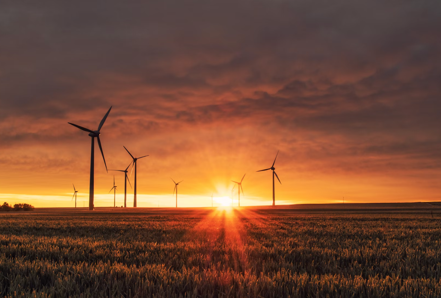 Study: Net Zero Wind and Solar Buildout Needs Huge Amount of Land