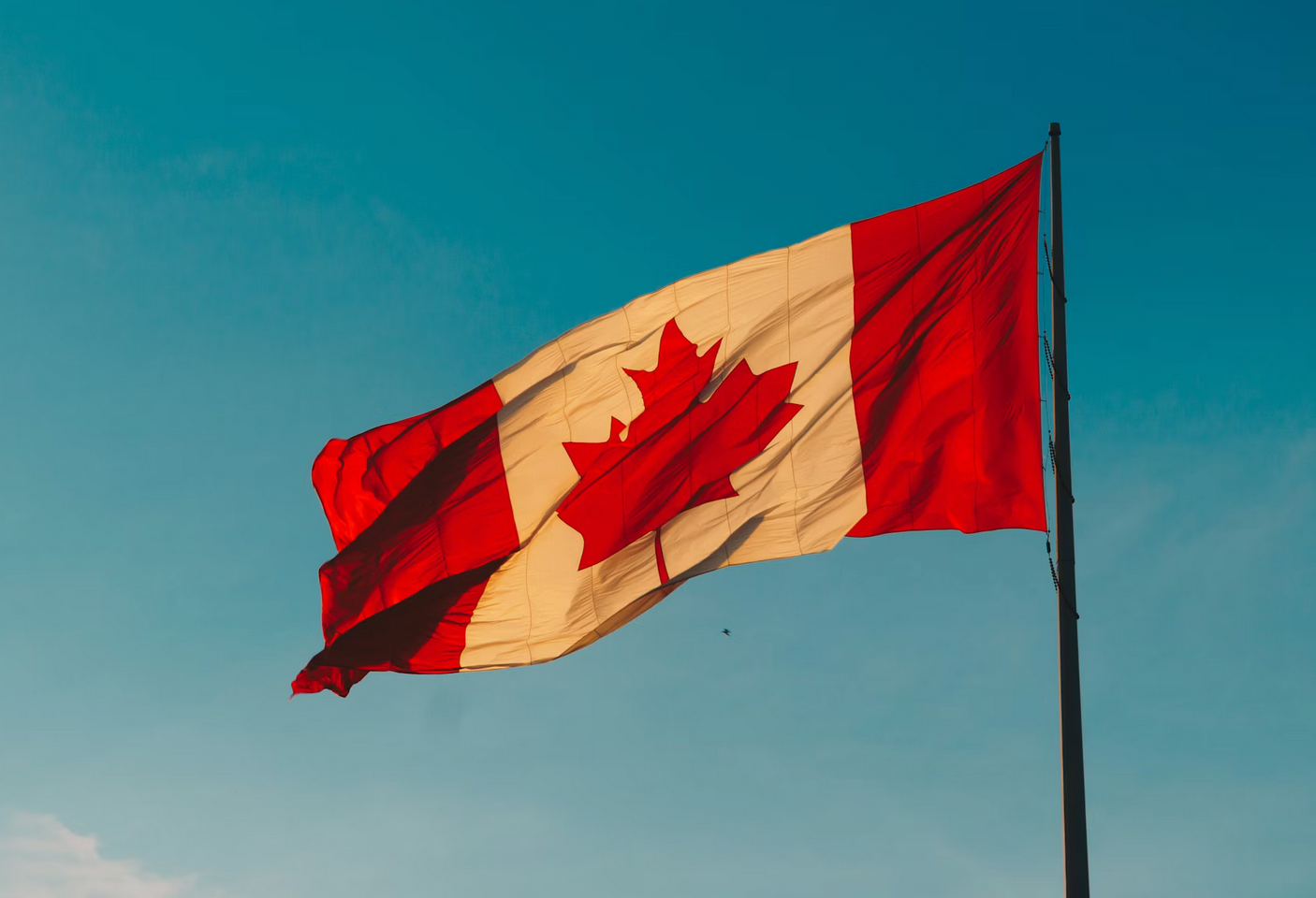 Canada Comes to Grips With Financial and Energy Needs