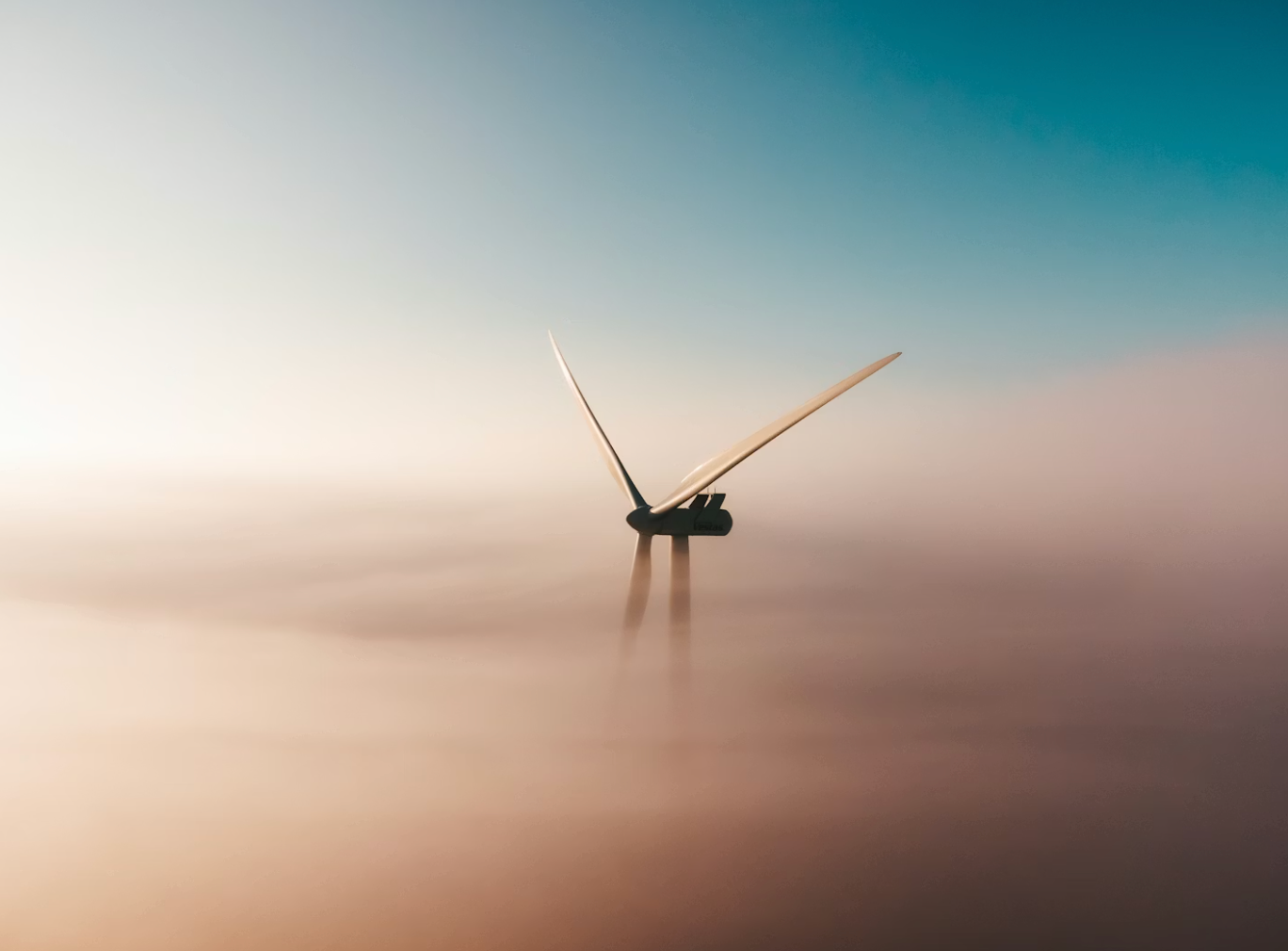 New York Times Gives Wind Turbines a Free Pass to Slaughter Birds