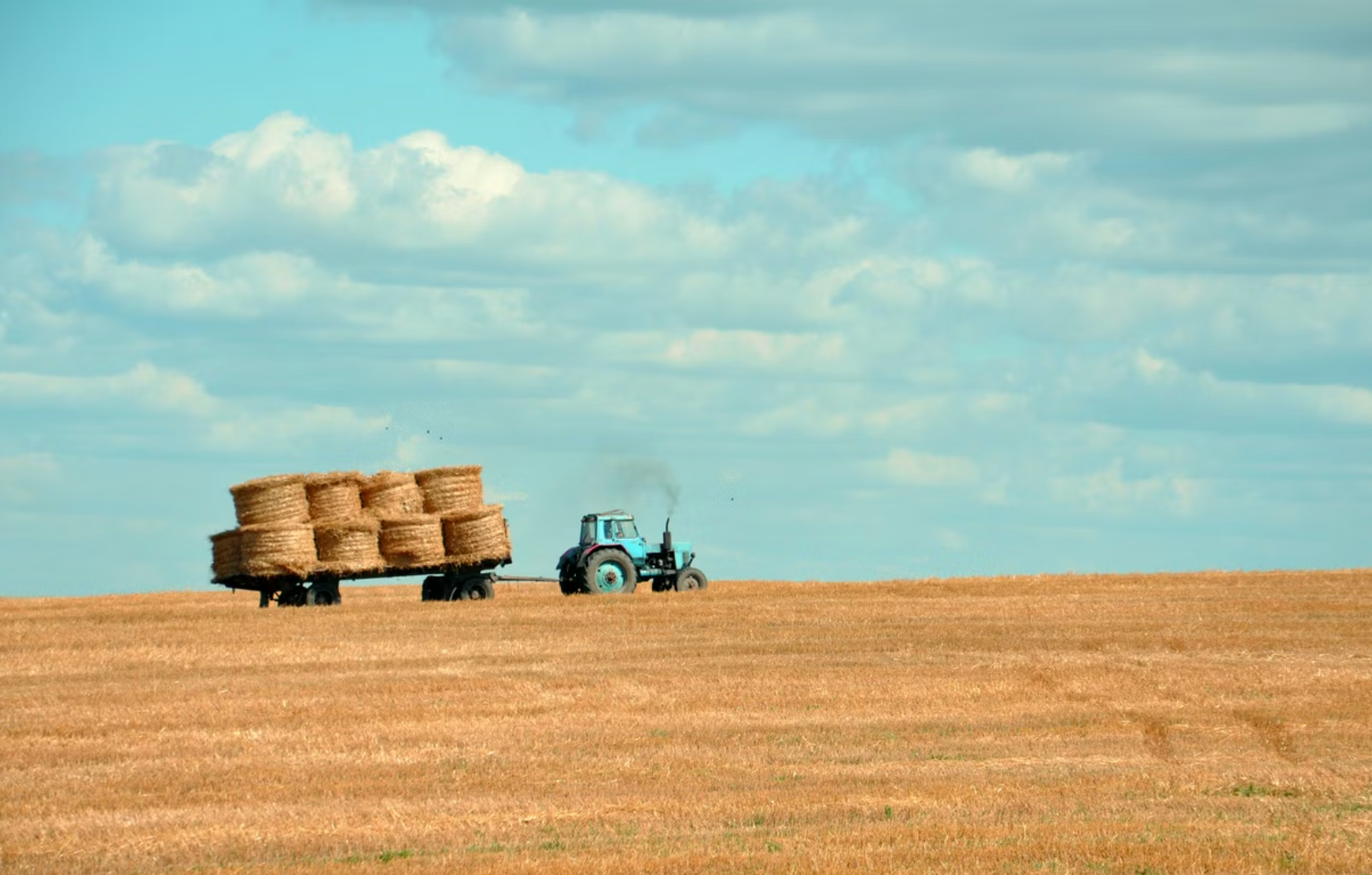 Glyphosate, Agricultural Productivity, and Food Security: A Risk Based Policy Assessment in the Context of Modern Food Systems 