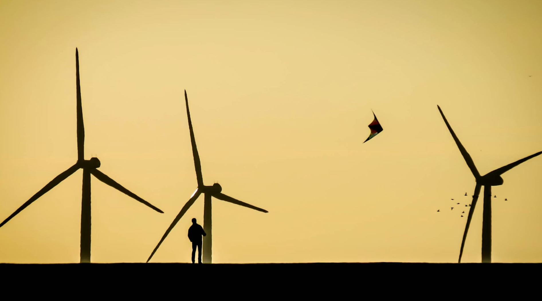 The environmental left will not admit what wind and solar destroy