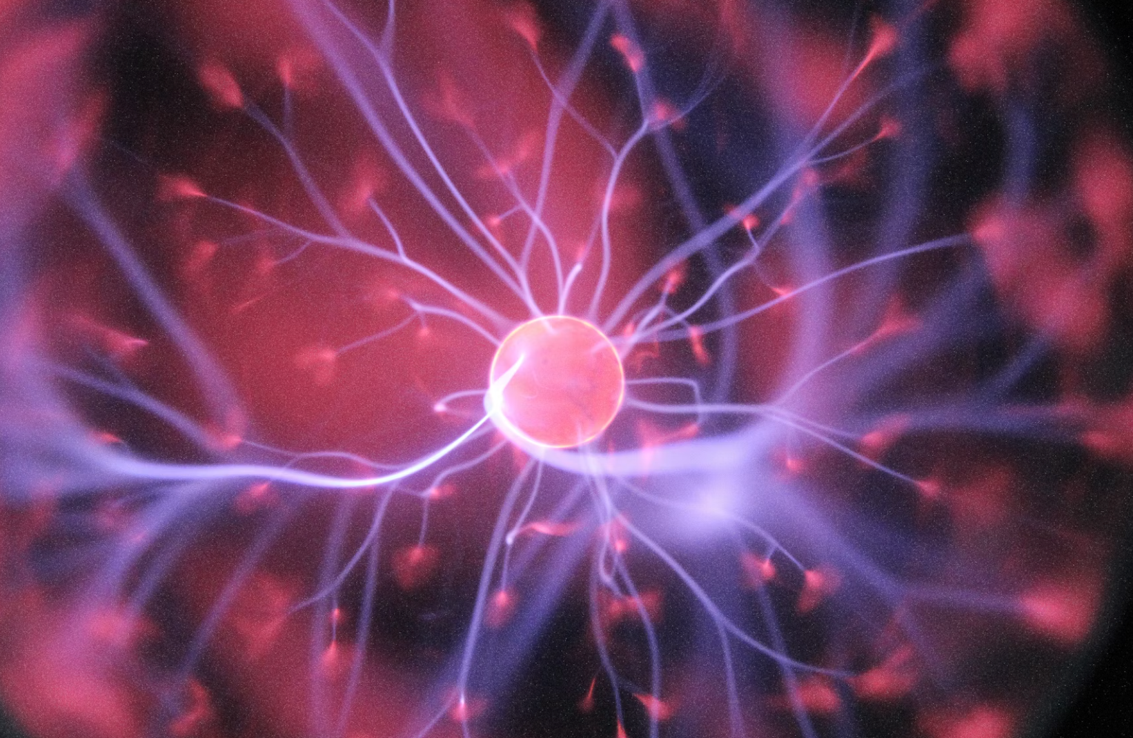 Fueling the Coming Nuclear Renaissance