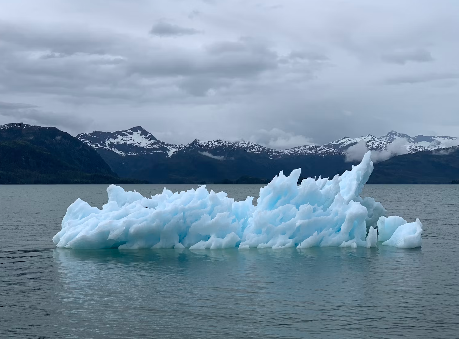 G7 Climate Realism Signals Policy Progress