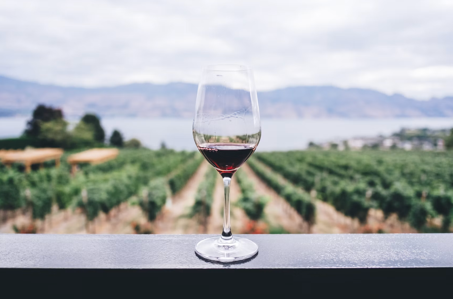 What Slaughtered Pigs Can Teach Us About Europe’s Wine Policy