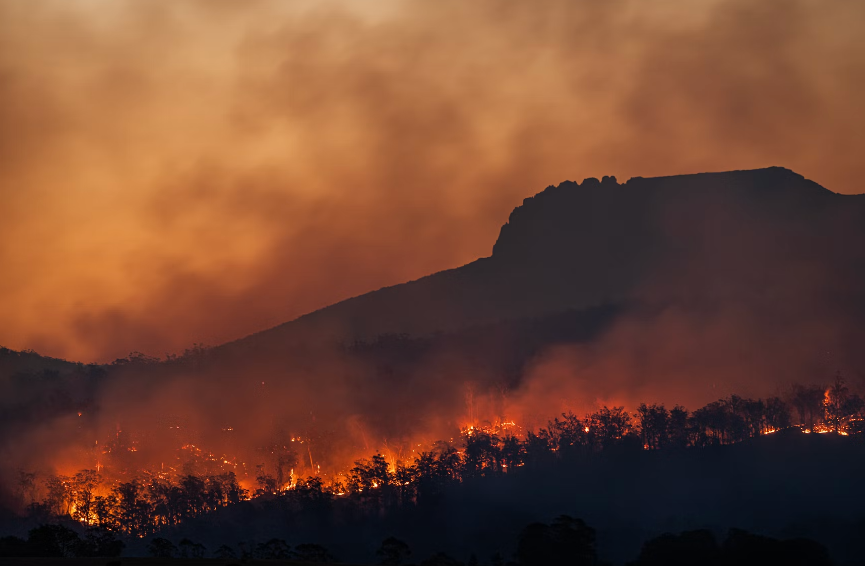 Apocalypse now? Climate doomsday goes up in smoke