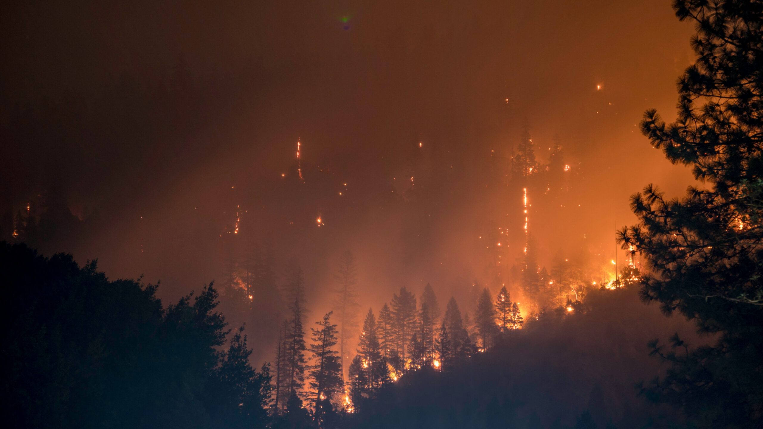 Blame Canada’s Terrible Regulations For Wildfires Ruining America’s Summer 