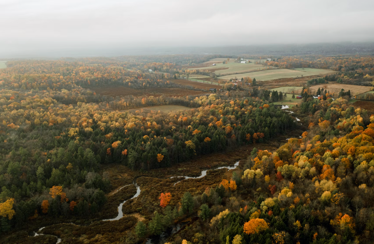 Reality Check for PA’s Failed Green-Energy Mandates 
