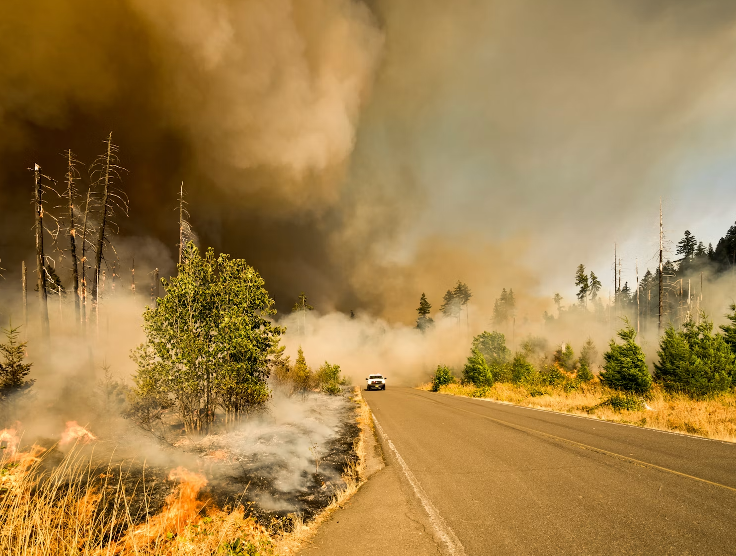 When Experts Obfuscate! How Alarmist Scientists Falsely Attribute Wildfires to Climate Change