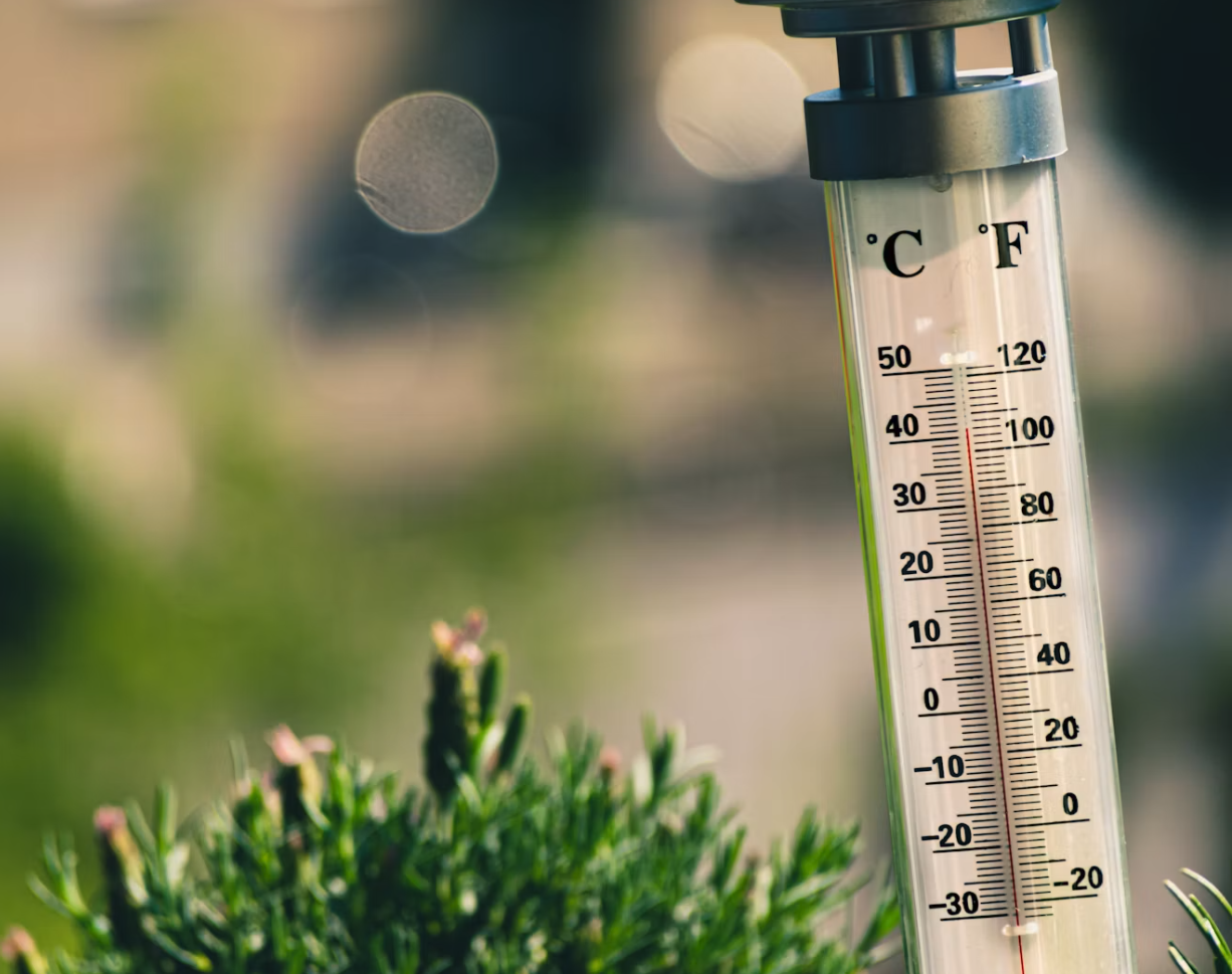Book Review: A Very Convenient Warming